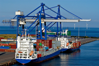 logistica